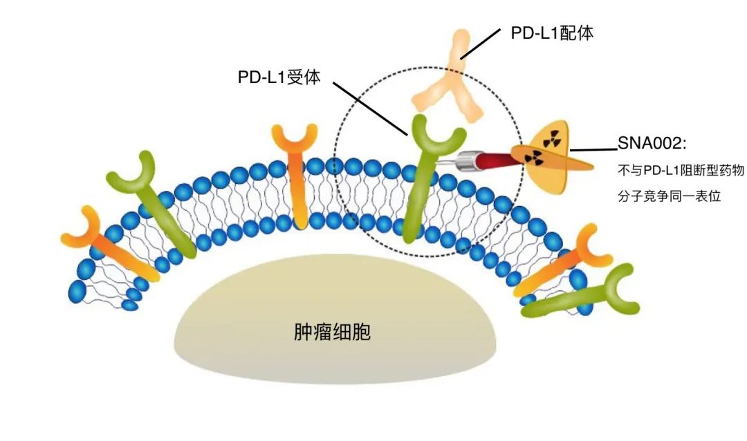 SNA002 示意图